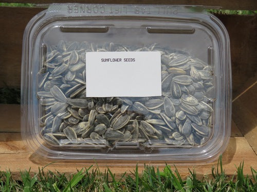 Sunflower Seeds